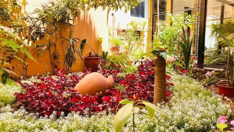 Hostal Arequipa Inn - Dış Mekan
