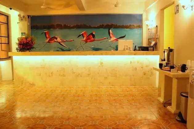 Hostal Catedral - Adults Only - Lobi