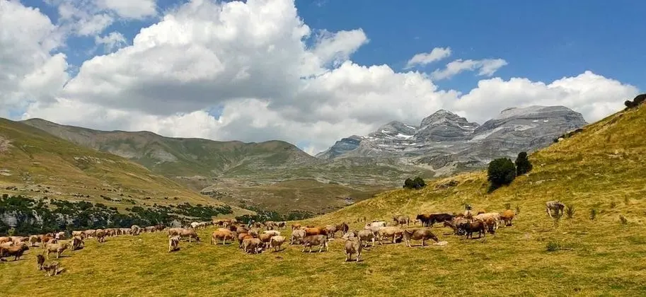 Hostal La Fuen - Dış Mekan