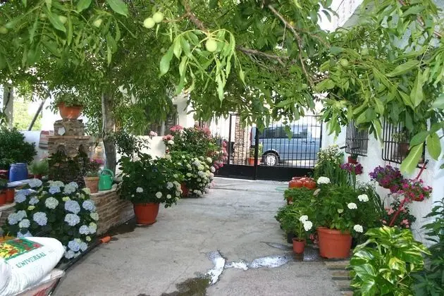 Hostal Las Terrazas de la Alpujarra - Öne Çıkan Resim
