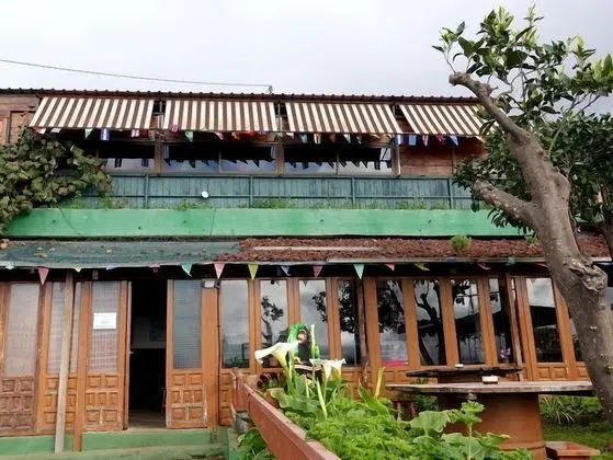 Hostal Mamio Verde - Hostel