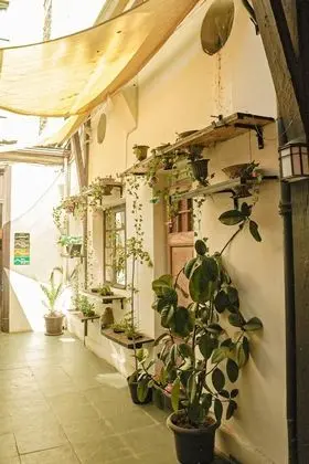 Hostal Providencia - Hostel - Dış Mekan