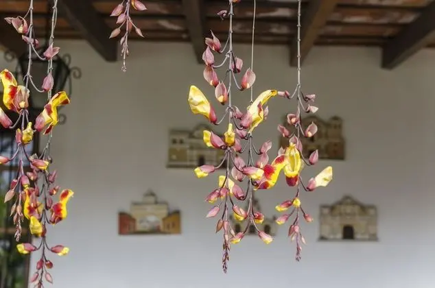 Hostal San Nicolas - Dış Mekan