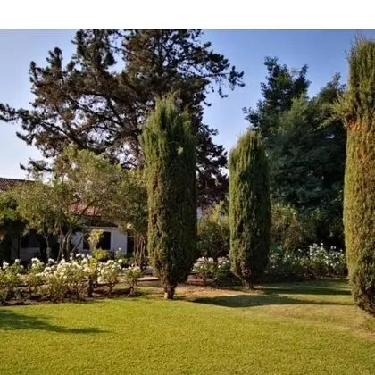 Hostal Viña Malva