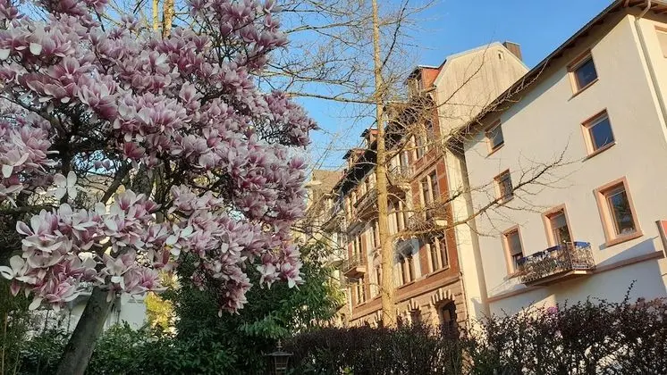 Hostel Caracalla