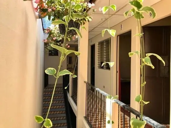 Hostel los Angeles de la Alameda - İç Mekan