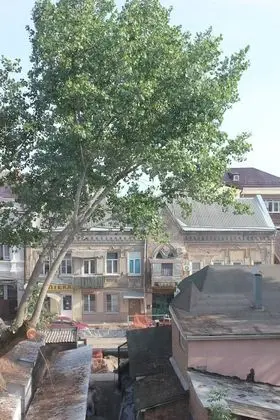 Hostel Orange - Oda Manzaraları