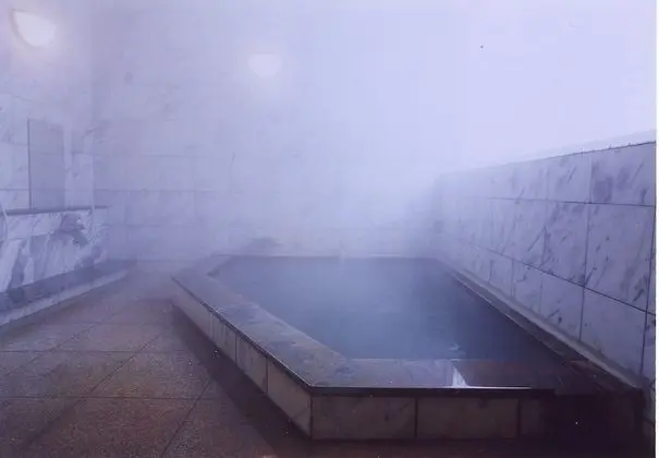 Hot Spring Hakuba Symphony - Havuz