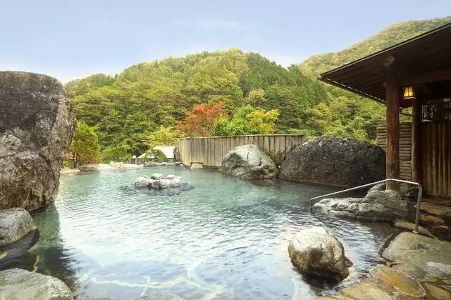 Hotakaso Yamano Hotel - Genel