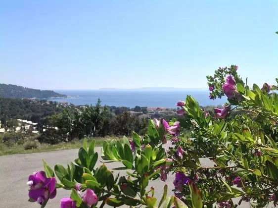 Hôtel Azur - Dış Mekan