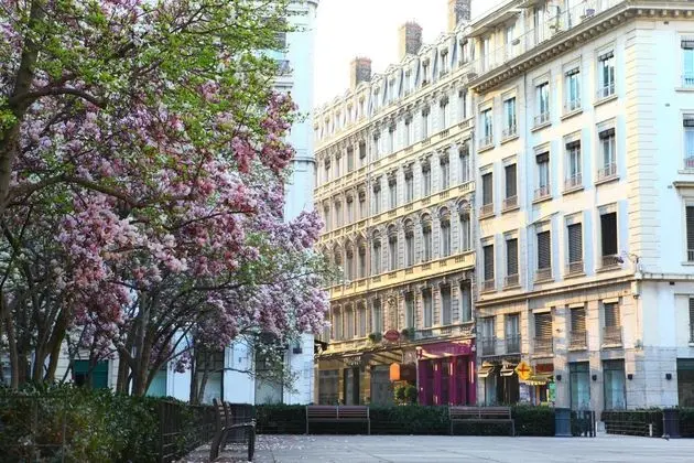 Hôtel des Célestins - Dış Mekan