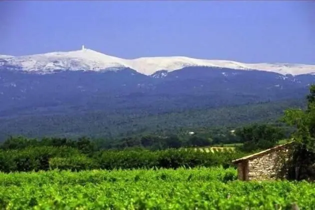 Hôtel Des Pins - Dış Mekan