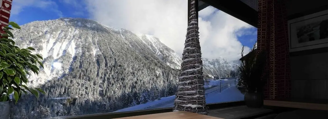 Hôtel Edelweiss - Dış Mekan