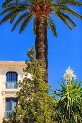 Hôtel El Paradiso - Dış Mekan