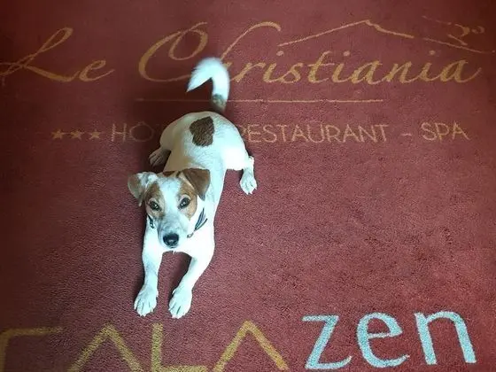 Hôtel le Christiania - İç Mekan