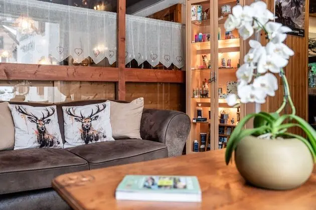Hôtel le Christiania - Lobi