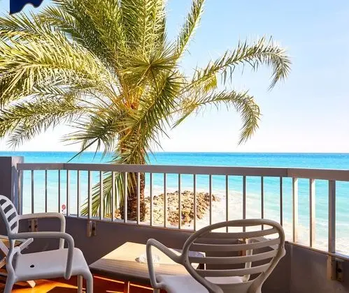 Hôtel Le Dauphin - Öne Çıkan Resim