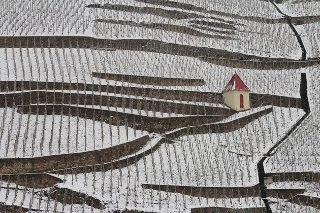 Hôtel Le Domaine des Vignes - Genel