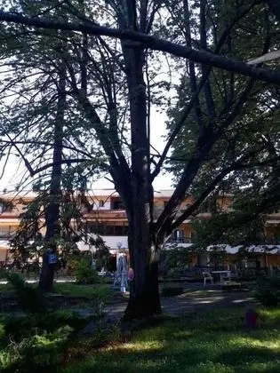 Hôtel Le Mas Fleuri - Dış Mekan