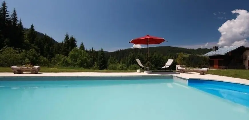 Hôtel Le Tétras - Havuz