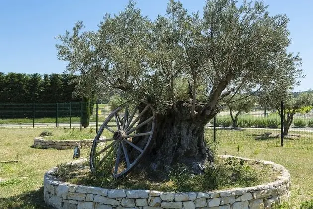 Hôtel Le Ya'Tis - Dış Mekan