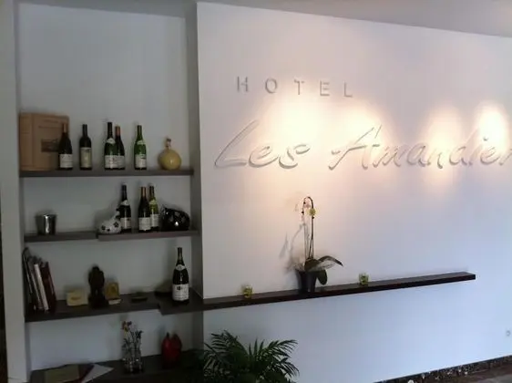Hôtel Les Amandiers - Spa