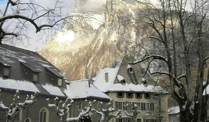 Hôtel les Glaciers - Genel