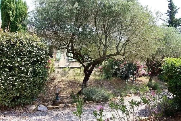 Hôtel Les Oliviers - Dış Mekan