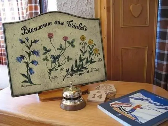 Hôtel les Triolets - Lobi