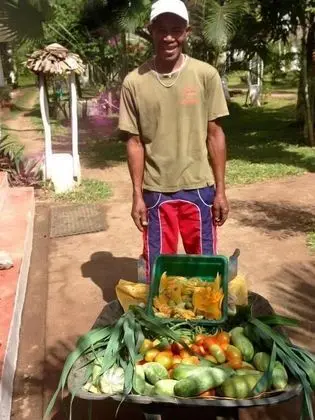 Hôtel Lodge La Pirogue Mahambo - Yerinde Yemek