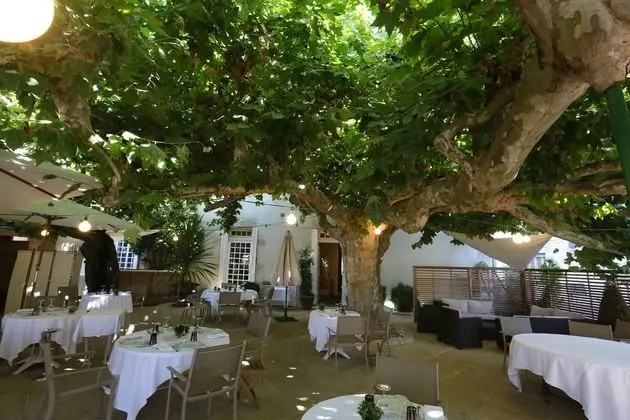 Hôtel Restaurant Claude Darroze - Dış Mekan