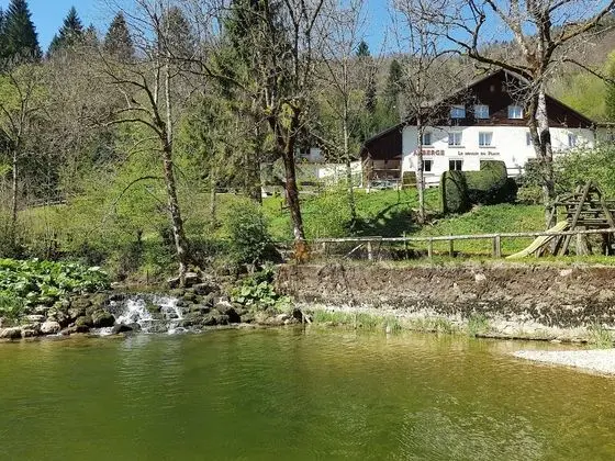 Hôtel Restaurant le Moulin du Plain - 1