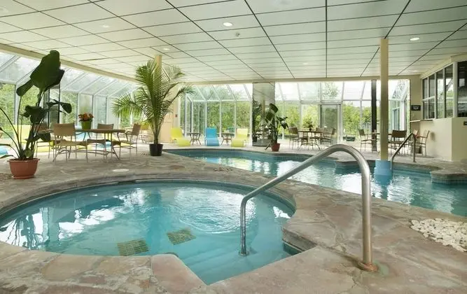 Hôtel Spa Excelsior - Havuz