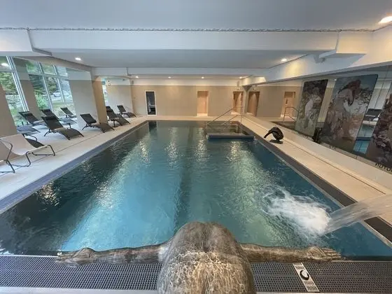 Hôtel Spa Husseren Collections - Havuz