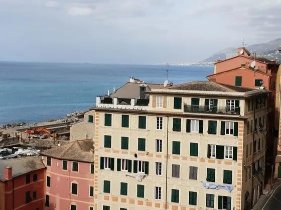 House Camogli