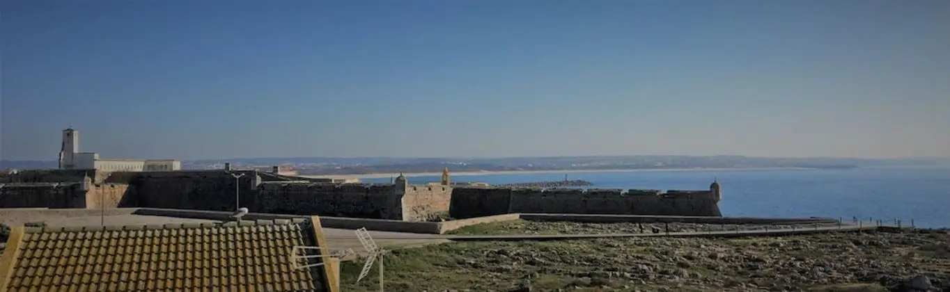 The House of the Cat That Wanted to be a Fisherman in Front of the sea
