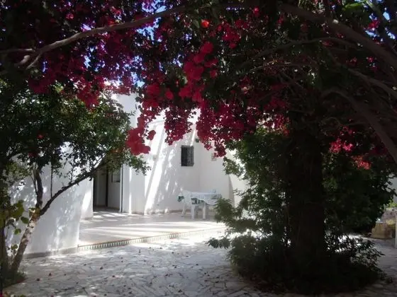 House With Garden Wala