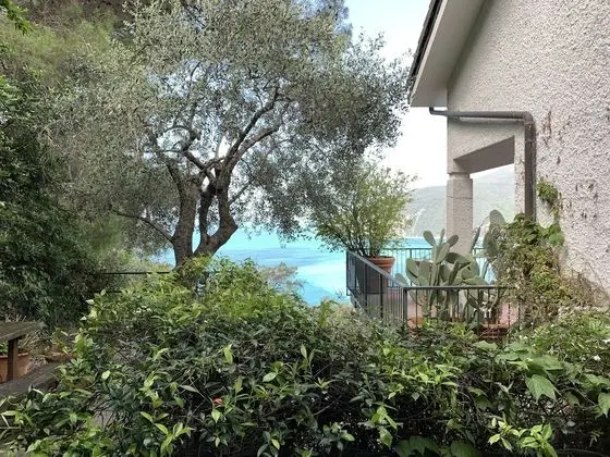 House Mediterraneo - Dış Mekan