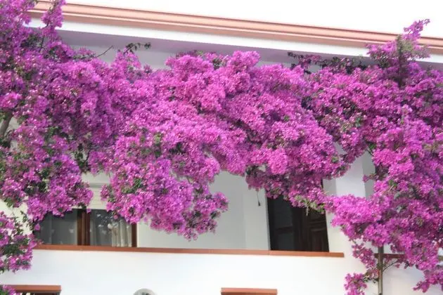 House in the Most Southern Point of the Island, Completely Fenced Super Price - Dış Mekan