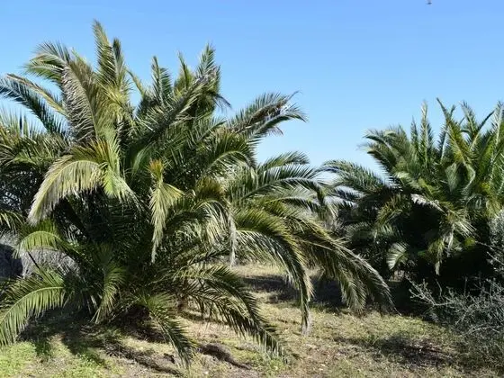 House With Panoramic Terrace, Near the Sea and the City of Syracuse - Dış Mekan