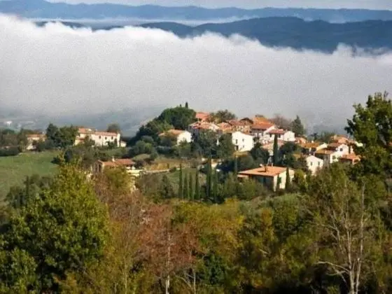 House Villa - Polveraia, Scansano, Grosseto