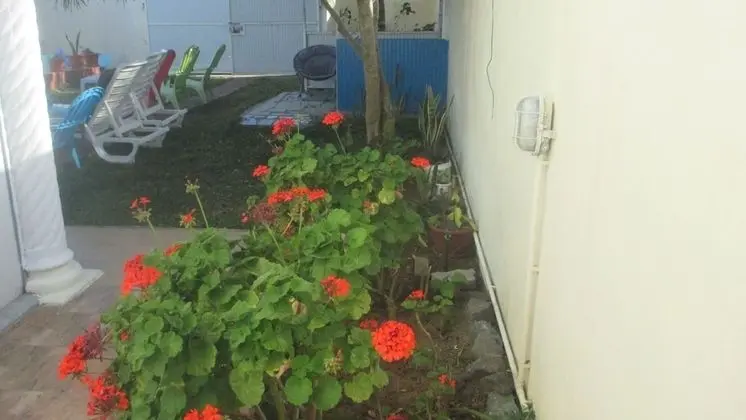 House Private Pool , Wifi, Jacuzzispa ,security Alarm, Canal Near sea - Dış Mekan