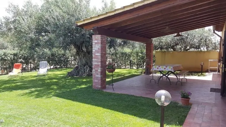 House Surrounded by Olive Trees
