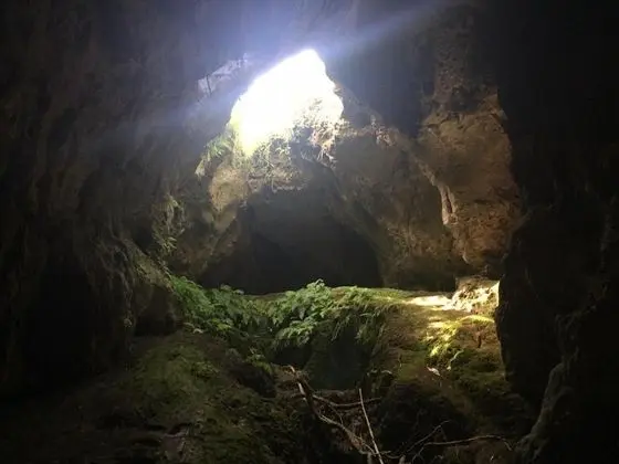 House of Tonga - Dış Mekan