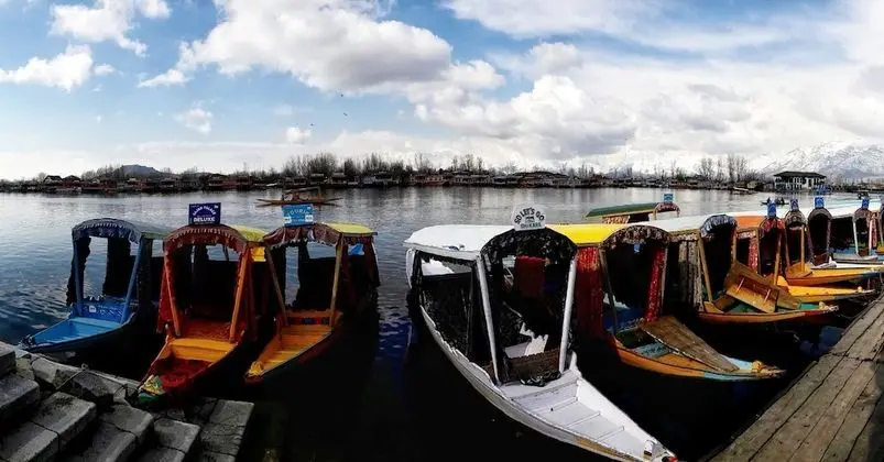 Houseboat Zaindari Palace - Havuz
