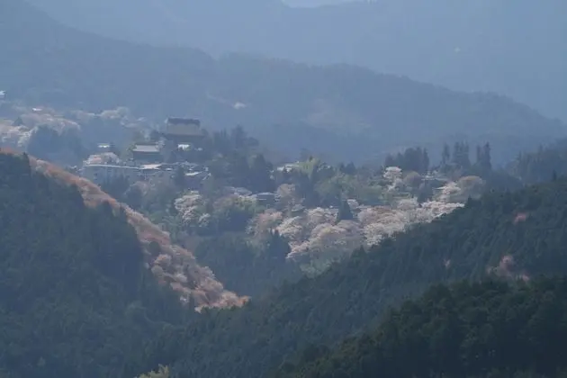 Houtouji Temple