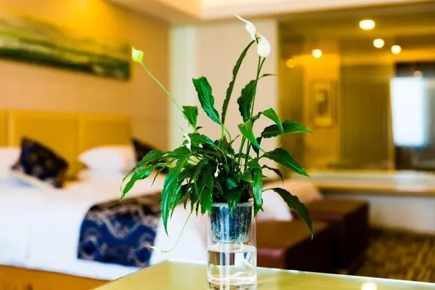 Howard Johnson Tianmu Lake Plaza Liyang