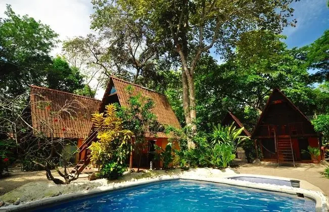 The Howler Monkey Hotel