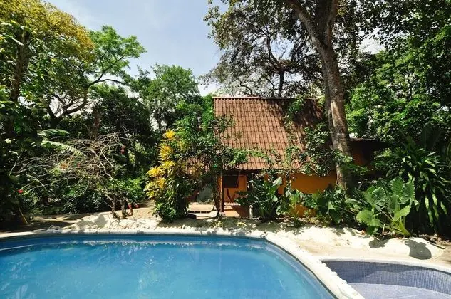 The Howler Monkey Hotel - Havuz