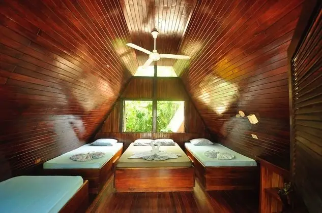 The Howler Monkey Hotel - Oda